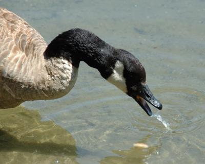 DSC_2694.jpg