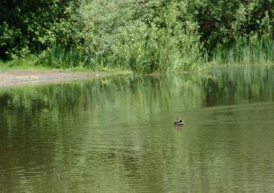 DSC_2711.jpg