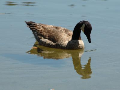 DSC_2721.jpg
