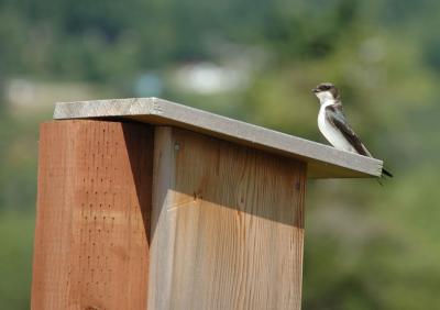 DSC_3817.jpg