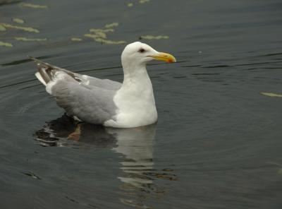 DSC_5007.jpg