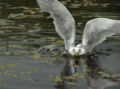 DSC_5015.jpg