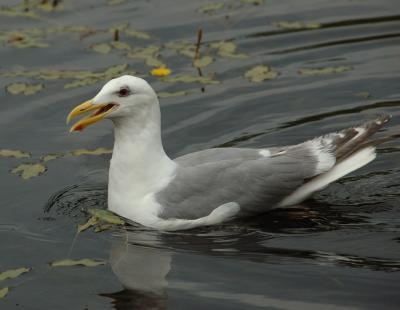 DSC_5017.jpg