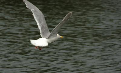 DSC_5018.jpg