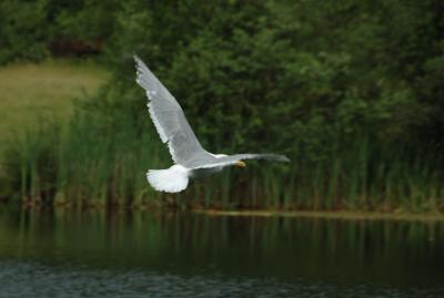 DSC_5019.jpg