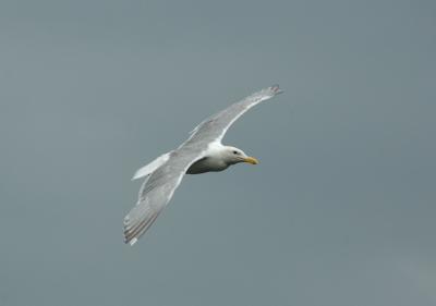 DSC_5028.jpg