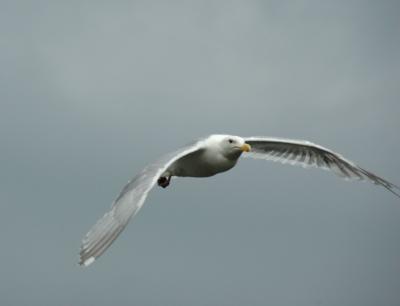 DSC_5029.jpg