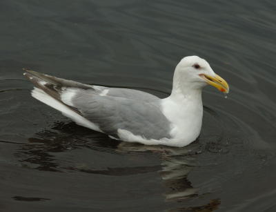 DSC_5047.jpg
