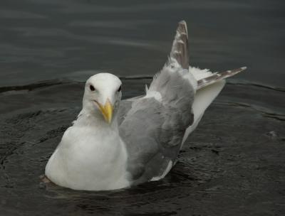 DSC_5050.jpg