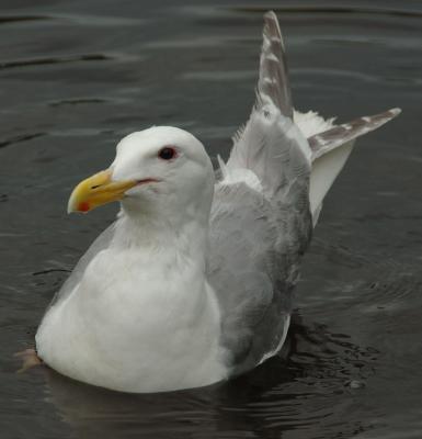 DSC_5051.jpg