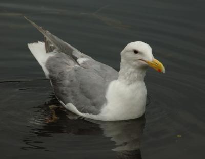 DSC_5057.jpg