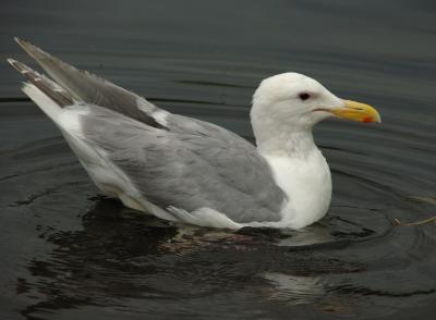 DSC_5059.jpg