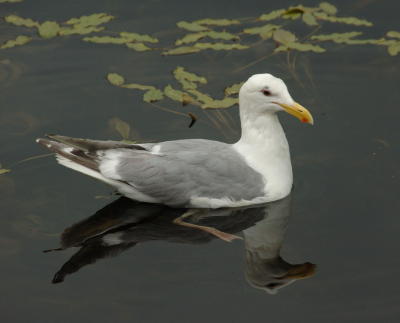 DSC_5062.jpg