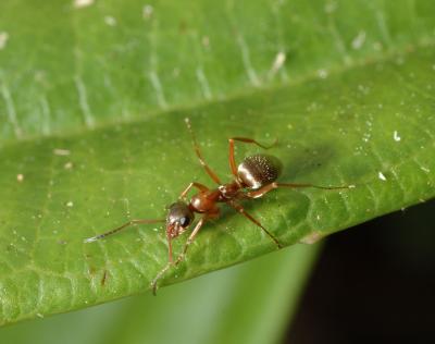 DSC_5242.jpg