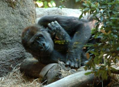 DSC_5420.jpg