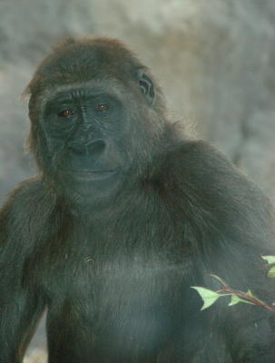 DSC_5427.jpg