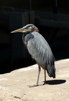 DSC_5443.jpg