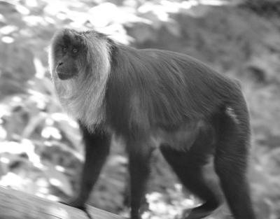 DSC_5482.jpg