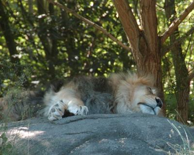 DSC_5664.jpg