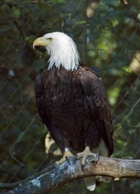 DSC_5809.jpg