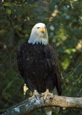 DSC_5812.jpg