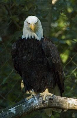 DSC_5815.jpg