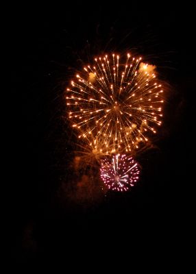 DSC_6772.jpg