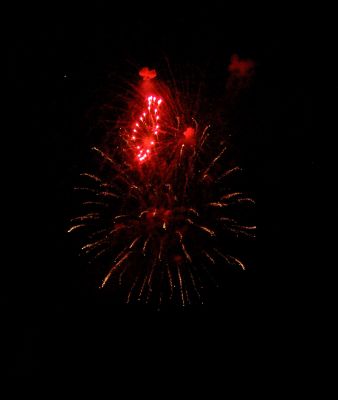 DSC_6774.jpg
