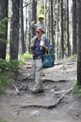 Hike To Morrell Creek Falls