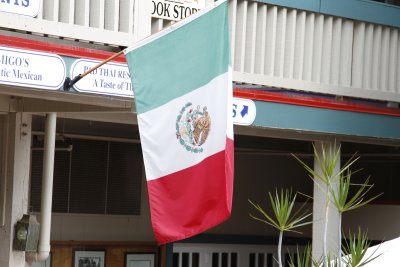 _MG_1063.jpg