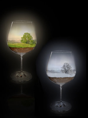 sommer & winter