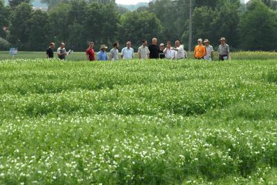 BASF_014.JPG