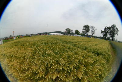 BASF_051.JPG