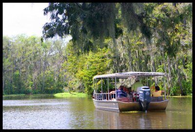 New Orleans - Bayou