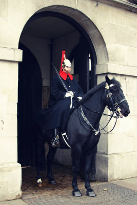 Guard at Westminster - London, UK