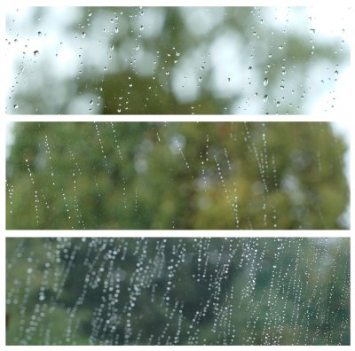 Autumn Tears