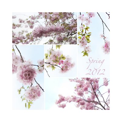 Spring is here