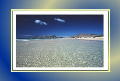 LOW TIDE