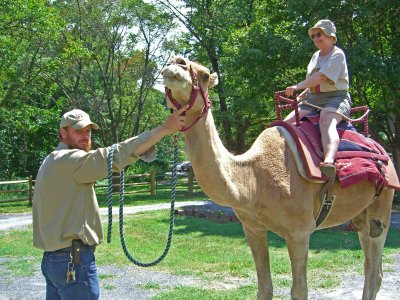 Joe the Camel