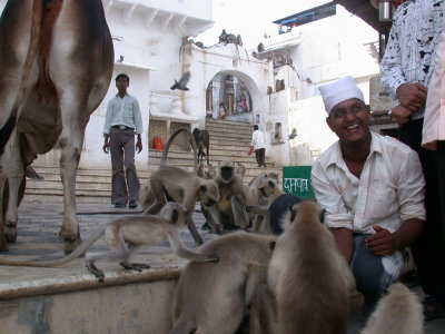 Pushkar