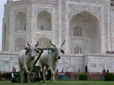 Agra, the Taj Mahal