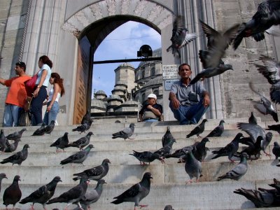 Istanbul, New Mosque (Yeni Camii)