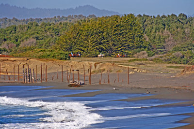 Pacific Ocean trail Ride.jpg