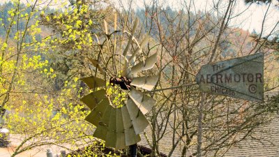 Windmill West.jpg