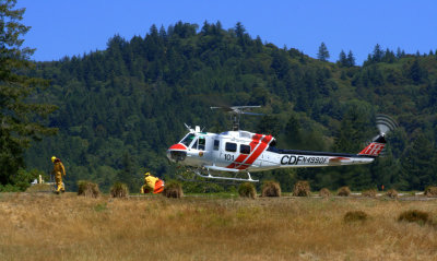 Howard Forest Crew Northern California.jpg