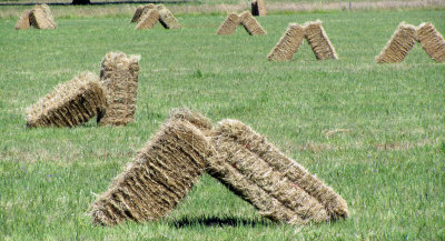 4th of July Hay Bales.jpg