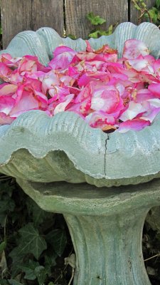 Flower Pedal Bath.jpg