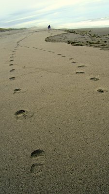 Paths joining as one.jpg