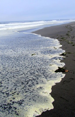 Samoa Sea Foam.jpg
