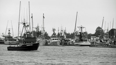 Humboldt Bay Harbor.jpg